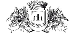 HOTEL VILLE D HIVER